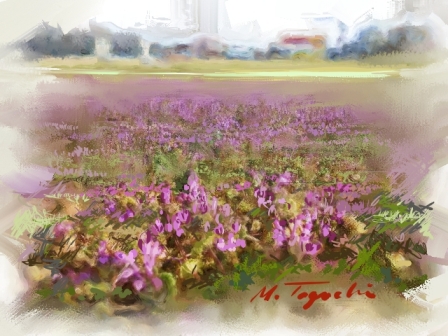 ��i3�D�t�P